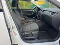 Skoda Octavia Style**1.BESITZ**SHZ**LHZ**AMBIENTE** Weiß - thumbnail 20
