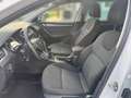 Skoda Octavia Style**1.BESITZ**SHZ**LHZ**AMBIENTE** Weiß - thumbnail 12