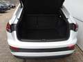 Audi Q4 e-tron Q4 40 e-tron Sportback Navi/Pano.-Dach/LED S-Line Blanc - thumbnail 22
