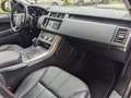 Land Rover Range Rover Sport 3.0 tdv6 HSE / Tettuccio Panoramico / Euro6 Grigio - thumbnail 10