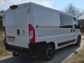 Fiat Ducato Ducato 30 2.3 MJ L2H1 DC Wit - thumbnail 5