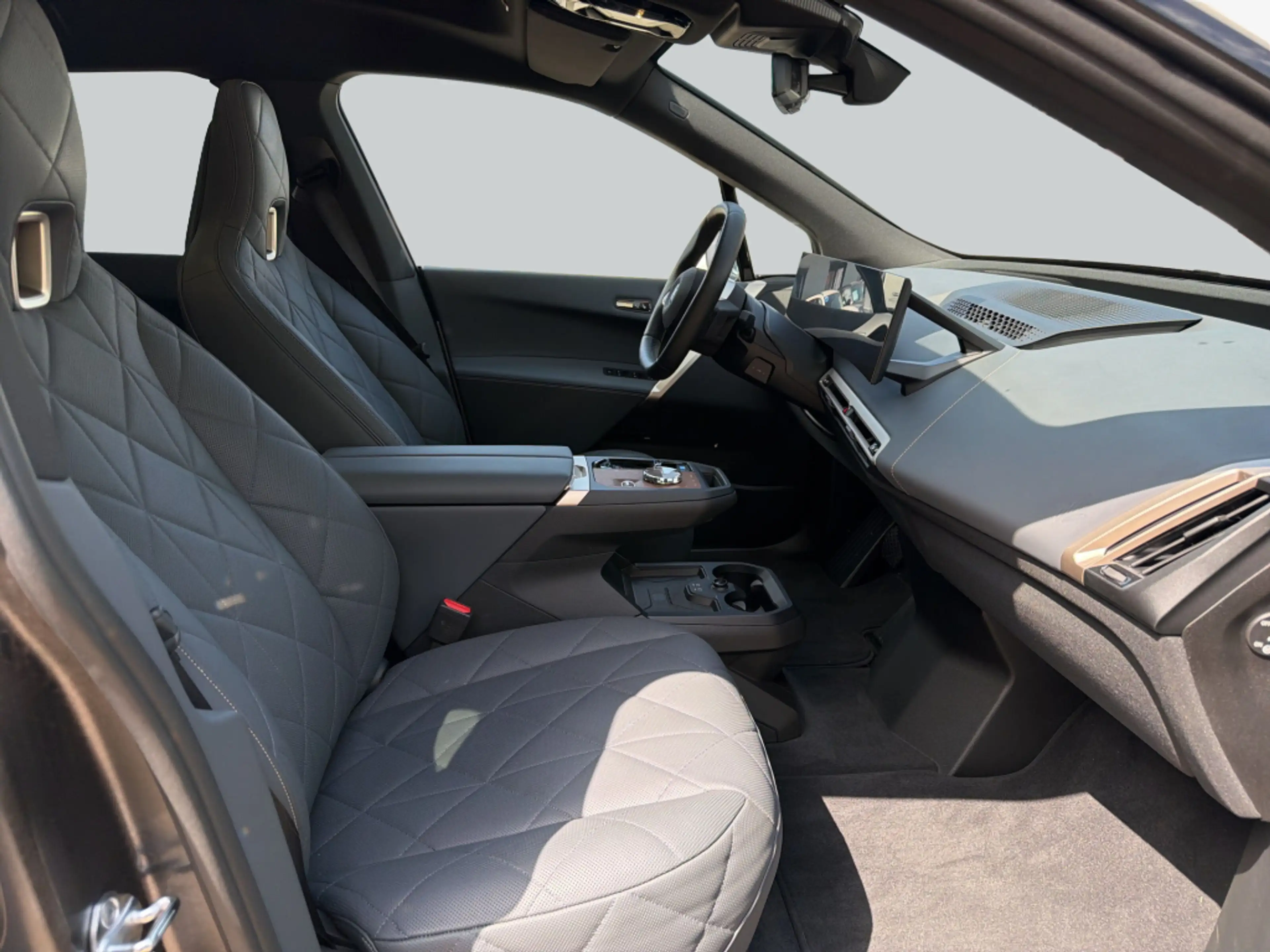 BMW iX xDrive40, AHK, PanoramaGlasdach, SHZ — photo 13