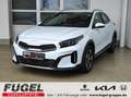 Kia XCeed 1.6 GDI DCT PHEV Vision LED|ACC|SHZ|RFK Weiß - thumbnail 1