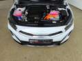 Kia XCeed 1.6 GDI DCT PHEV Vision LED|ACC|SHZ|RFK Weiß - thumbnail 25