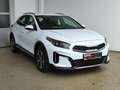 Kia XCeed 1.6 GDI DCT PHEV Vision LED|ACC|SHZ|RFK Weiß - thumbnail 6