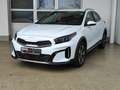 Kia XCeed 1.6 GDI DCT PHEV Vision LED|ACC|SHZ|RFK Weiß - thumbnail 2