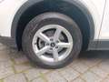 Audi Q2 35 TFSI *R-CAM*PDC+*LED*Virt.C*KLIMA* Bianco - thumbnail 7