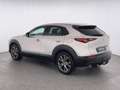 Mazda CX-30 Exclusive-Line 2.0*AT*HUD*SHZ*360°K*uvm Beige - thumbnail 4