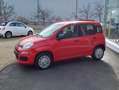 Fiat Panda Panda Easy "Allwetter, PDC, Klima, Radio" Rot - thumbnail 2