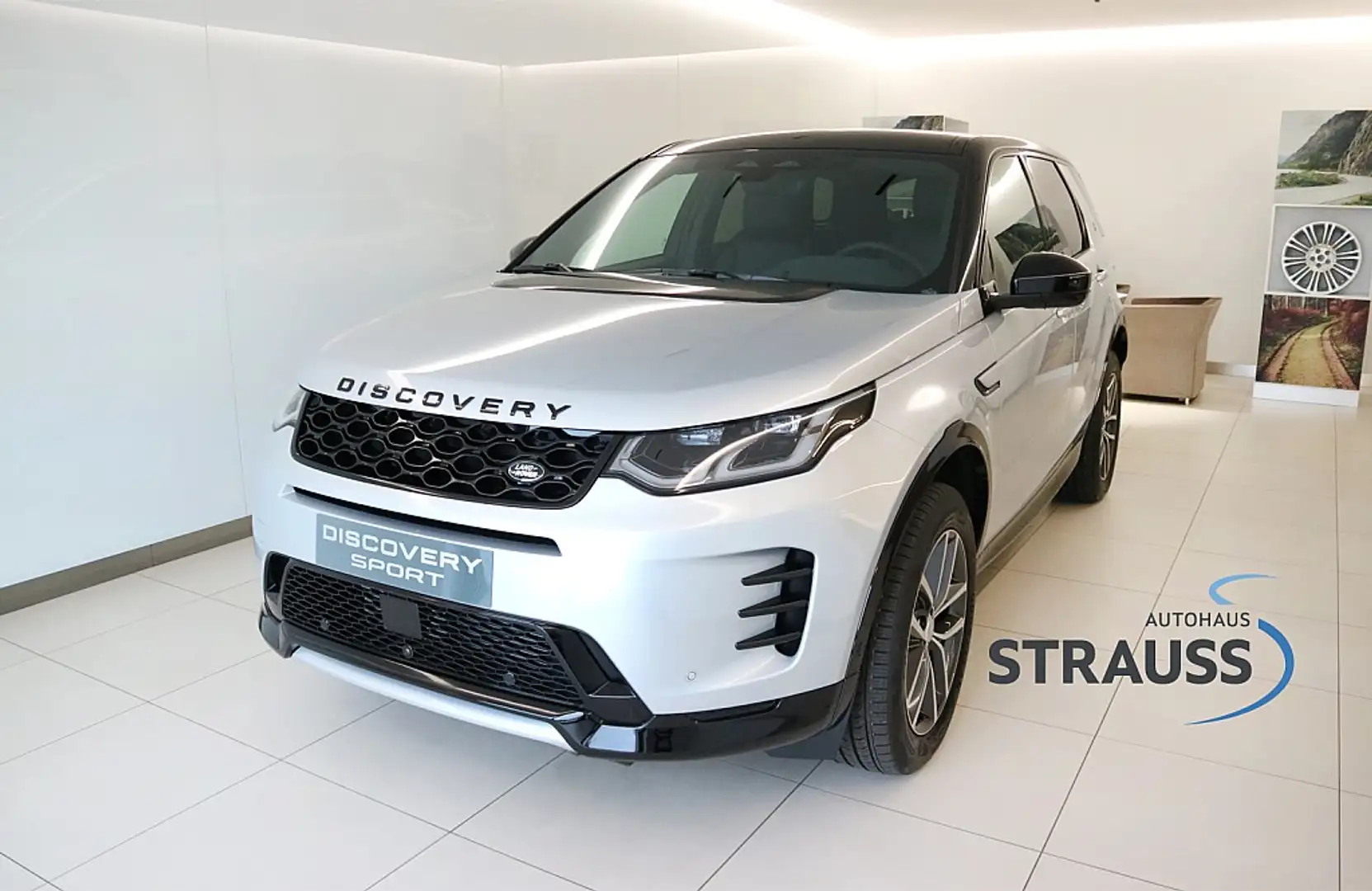 Land Rover Discovery Sport DISCOVERY SPORT R-DYNAMIC SE P300e Silber - 1