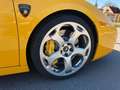 Lamborghini Gallardo Spyder E-Gear Getriebe Kupplung NEU LP520 Gelb - thumbnail 13