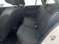 Skoda Fabia Combi 1.0 Cool Plus Klima Bluetooth USB Weiß - thumbnail 14