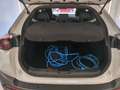 Mazda MX-30 E-SkyActiv 145 Comfort 36 kWh | SOH ?% | Camera | Blanc - thumbnail 14