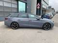 CUPRA SP 1.5 eTSI 110kW (150CV) DSG Серый - thumbnail 3