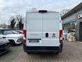Fiat Ducato L2H2*Kastenwagen*RFK*AC*Navi* Weiß - thumbnail 5