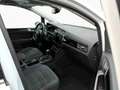 Volkswagen Touran 1.5 TSI DSG Highline 7 Sitzer AHK CAM LED Weiß - thumbnail 5