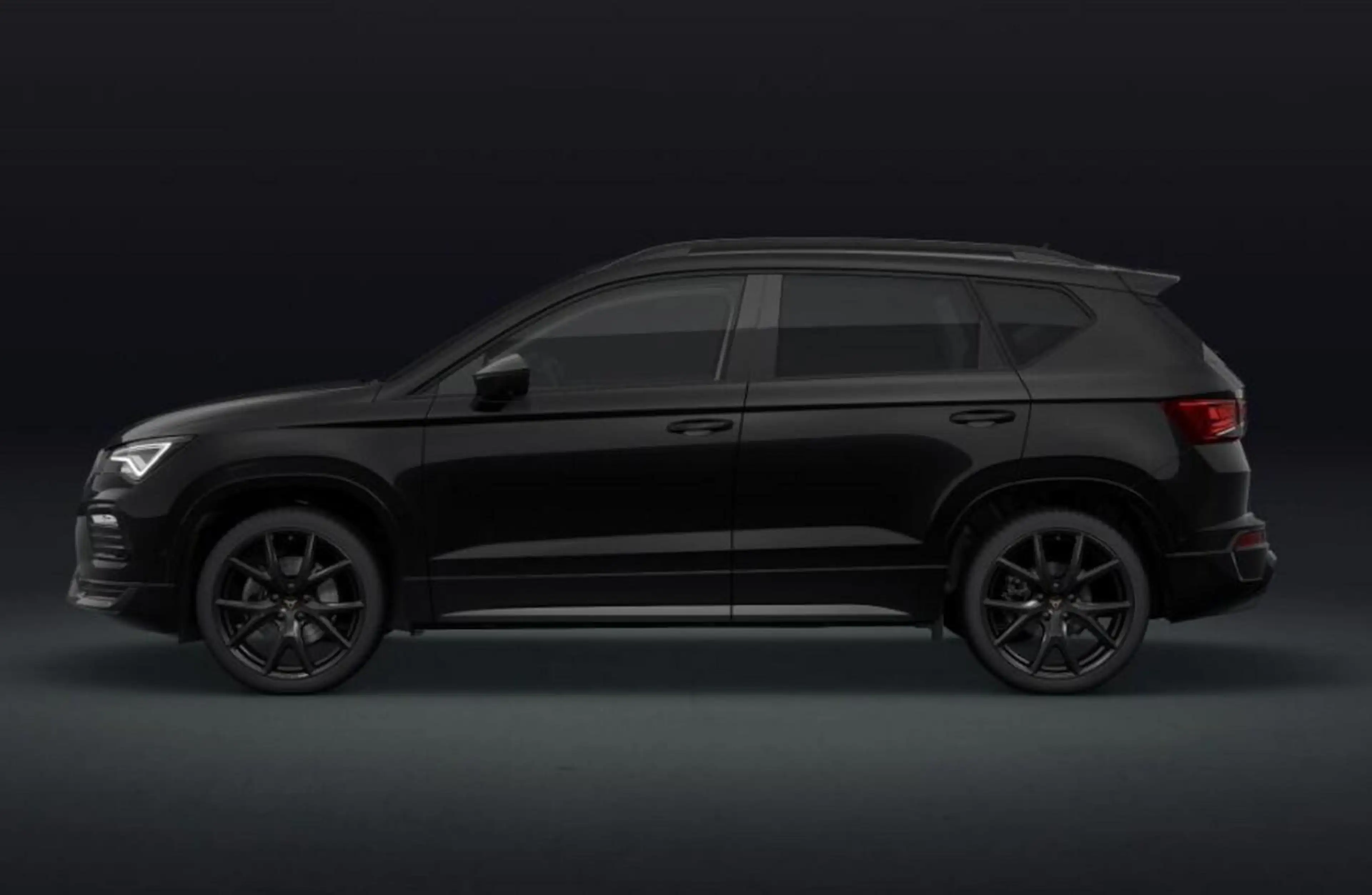 CUPRA Ateca Tribe Edition DSG DCC TravelA eHk Memory 110 kW... — photo 2