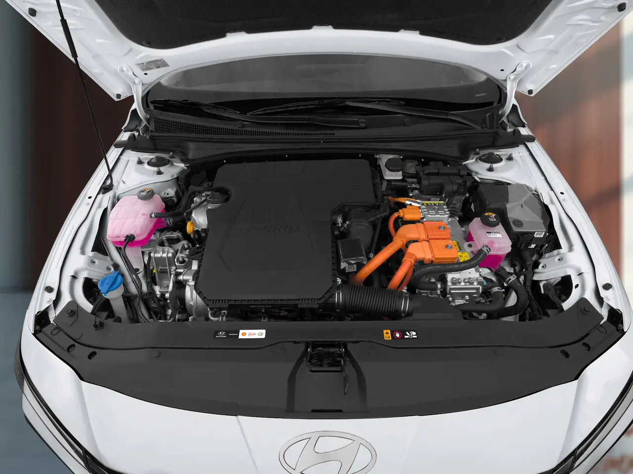 Hyundai ELANTRA fotografie Hyundai ELANTRA