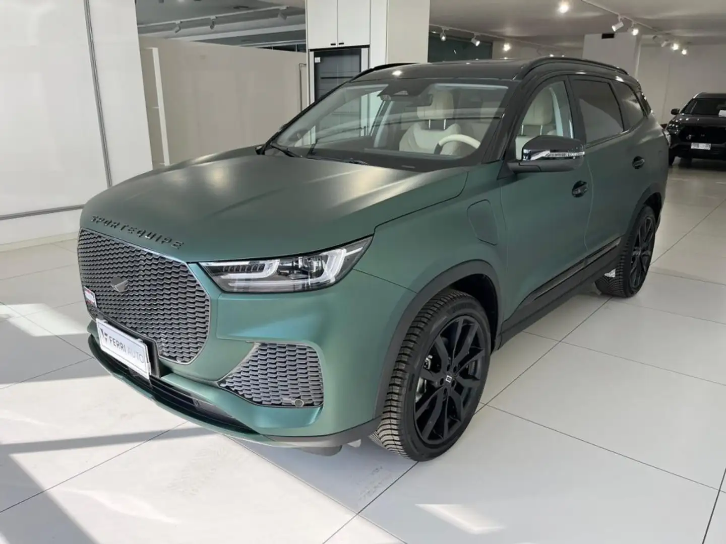 Sportequipe 1.5 Turbo DHT Hybrid Plug-in Verde - 1