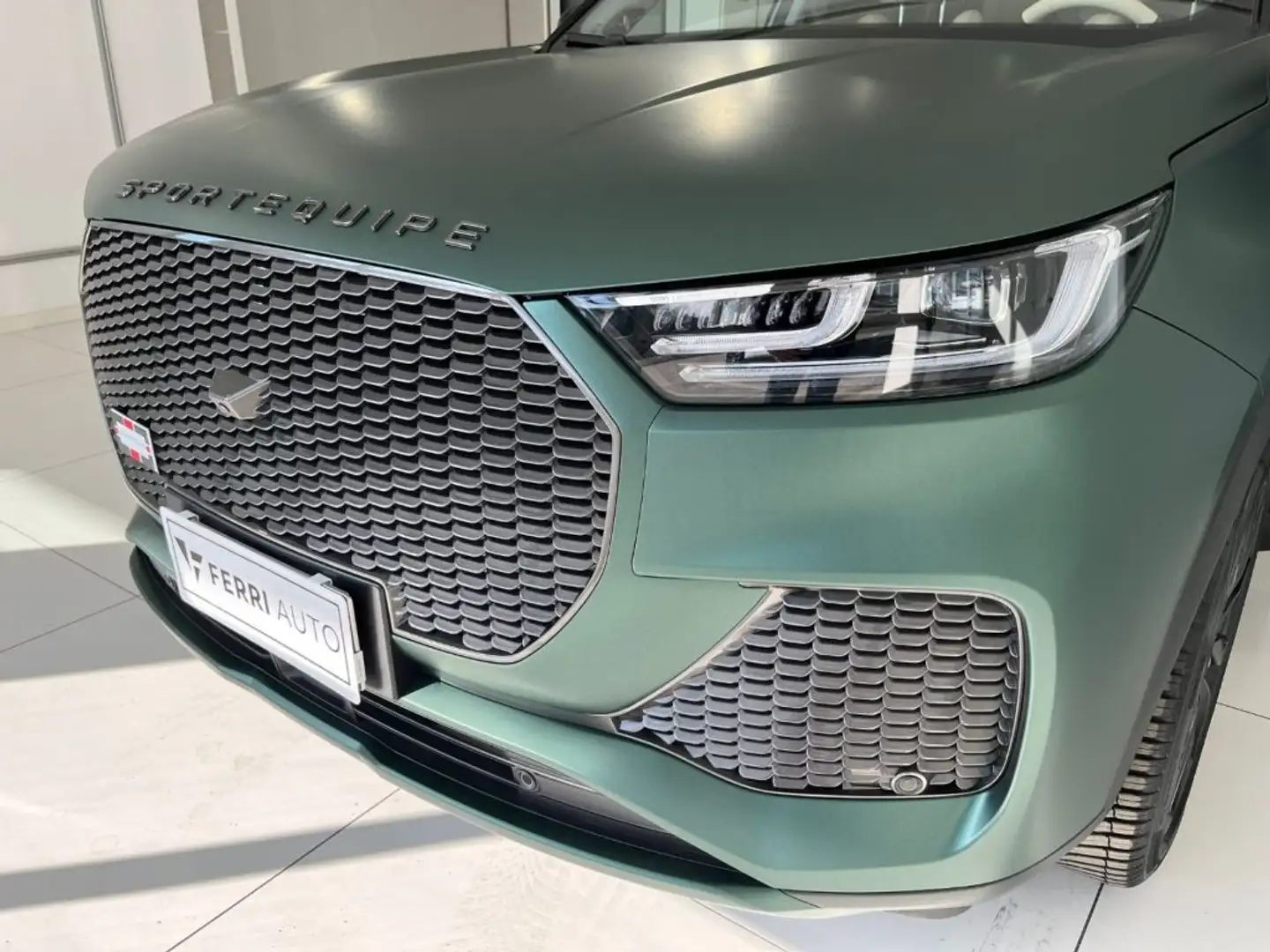 Sportequipe 1.5 Turbo DHT Hybrid Plug-in Verde - 2