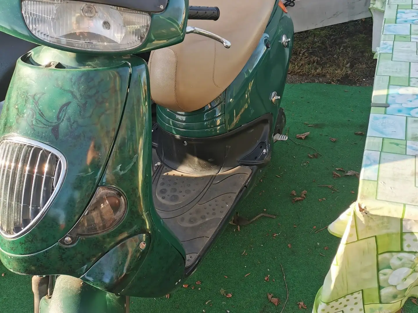 Aprilia Gulliver AC Grün - 1