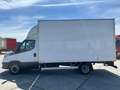 Iveco Daily 35C16 Achterdeuren (15 diverse modellen op voorraa Blanco - thumbnail 17