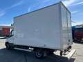 Iveco Daily 35C16 Achterdeuren (15 diverse modellen op voorraa Blanco - thumbnail 16