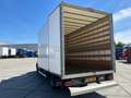 Iveco Daily 35C16 Achterdeuren (15 diverse modellen op voorraa Blanco - thumbnail 15