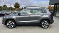 Skoda Karoq Selection ACC; DSG; AHK Grau - thumbnail 8