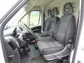 Fiat Ducato 35Q 2.3 MJT 160CV PLM-TA Furg.Maxi L4H3 Blanco - thumbnail 8