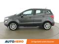 Ford EcoSport 1.0 EcoBoost Titanium *TEMPO*CAM*CARPLAY&AUTO*TOT* Grau - thumbnail 3
