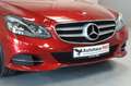 Mercedes-Benz E 300 CGI BlueEfficiency~1.Hand~MFL~Tempomat~PDC Rot - thumbnail 11