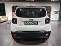 Jeep Renegade 2024 1.5 Turbo T4 Mhev Altitude 2wd dct Weiß - thumbnail 5