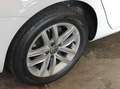 Volkswagen Golf Variant 1.5 tgi Business 130cv dsg - thumbnail 20