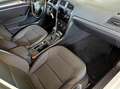 Volkswagen Golf Variant 1.5 tgi Business 130cv dsg - thumbnail 12