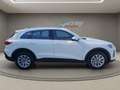 Audi Q5 2.0 TFSI 204 PS  QUATTRO - Automatik Grau - thumbnail 4