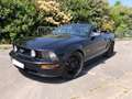 Ford Mustang FULL BLACK GT 4,6L V8 BVA - 83000 Kms - thumbnail 2