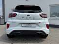 Ford Puma ST X LED-Scheinwerfer 1.HD Blanc - thumbnail 7