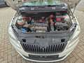 Skoda Fabia Cool Edition 1.2/ Inspektion neu/ Kettensatz neu Weiß - thumbnail 14