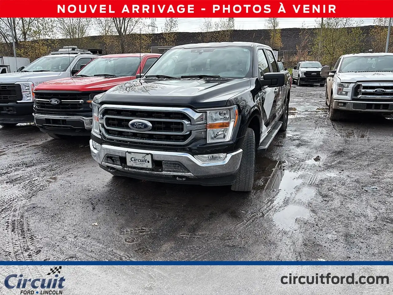 2022 Ford F 150