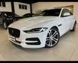 Jaguar XE 2.0 D 204 CV aut. S Weiß - thumbnail 1