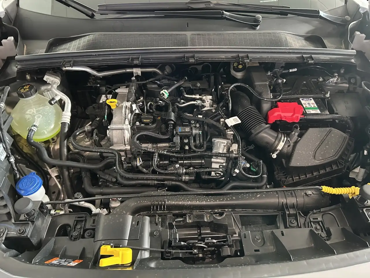 Ford Puma ST Line,Panoramadach,FGS 16
