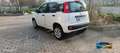 Fiat Panda 0.9 t.air t. natural power Lounge 80cv - thumbnail 4