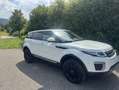 Land Rover Range Rover Evoque Pure Weiß - thumbnail 7