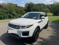 Land Rover Range Rover Evoque Pure Weiß - thumbnail 3