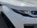 Land Rover Range Rover Evoque Pure Weiß - thumbnail 6