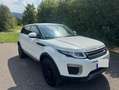 Land Rover Range Rover Evoque Pure Weiß - thumbnail 8