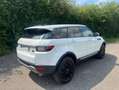 Land Rover Range Rover Evoque Pure Weiß - thumbnail 4