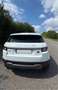 Land Rover Range Rover Evoque Pure Weiß - thumbnail 2