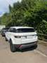 Land Rover Range Rover Evoque Pure Weiß - thumbnail 11
